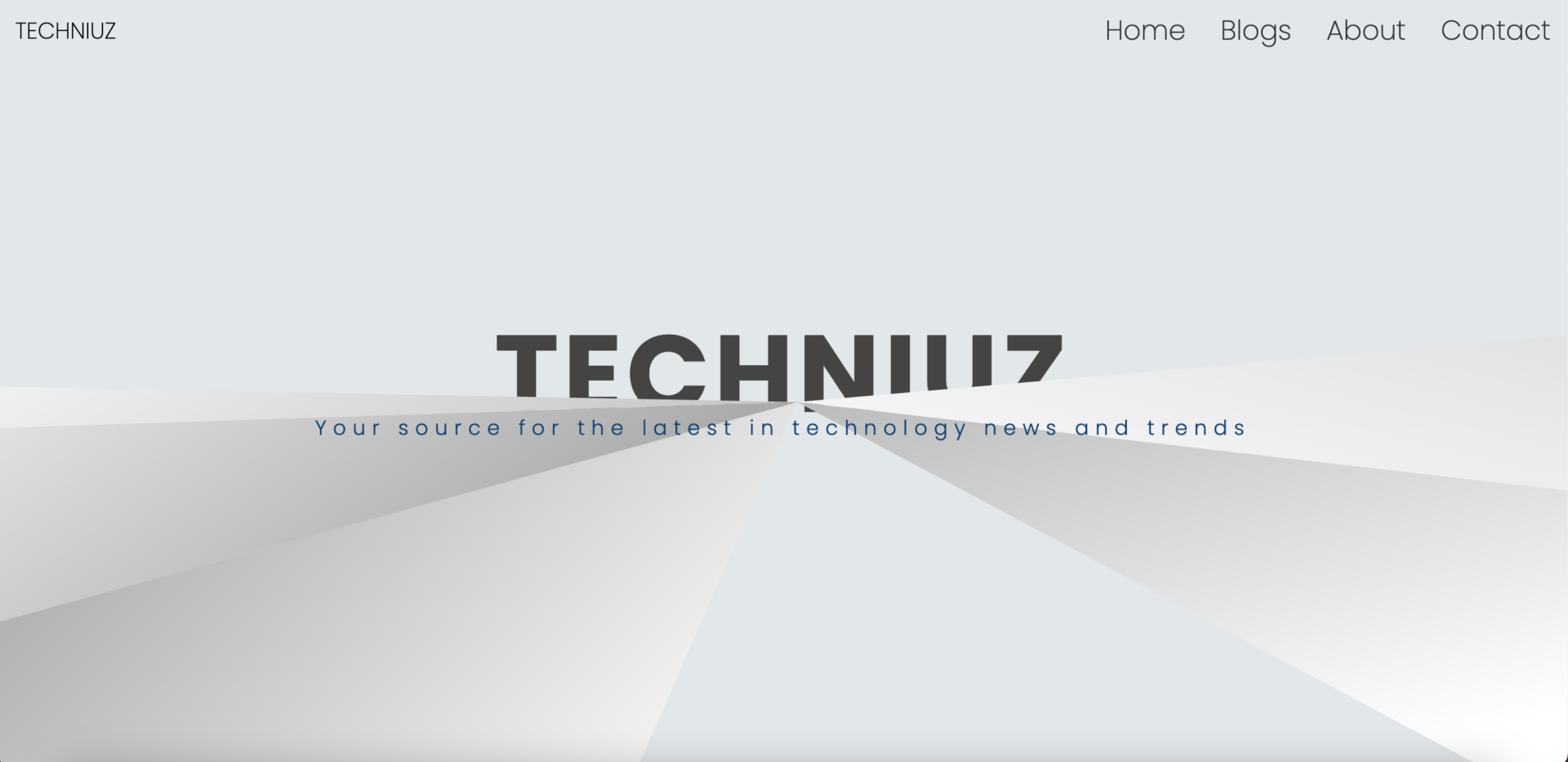Techniuz website's demo picture
